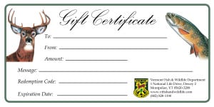 giftcertificate-HIGHREZ-cropped