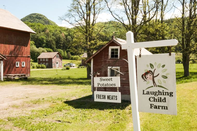 Scott signs Vermonters Feeding Vermonters program into law